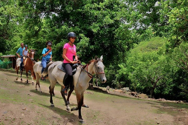 East Coast Horseback Riding & Waterfall Excursion