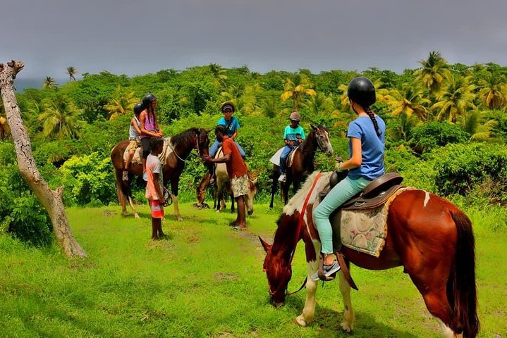 East Coast Horseback Riding & Waterfall Excursion