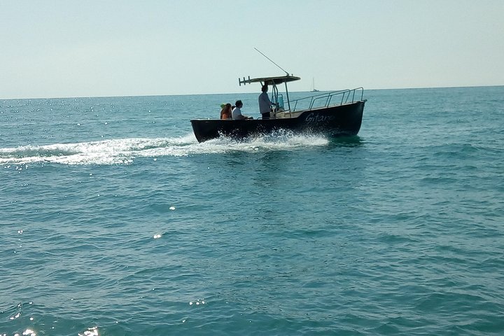Desirèe: Private boat tour with skipper