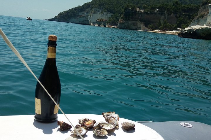Desirèe: Private boat tour with skipper