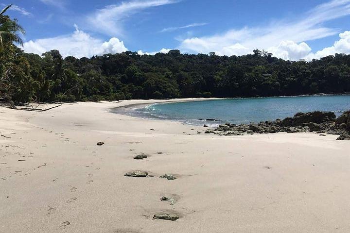 Manuel Antonio National Park Guided Tour – With Ticket Option