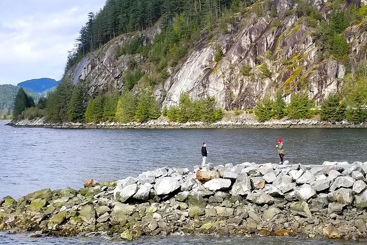 Whistler Sightseeing Tour from Vancouver: See Horseshoe Bay and Shannon Falls