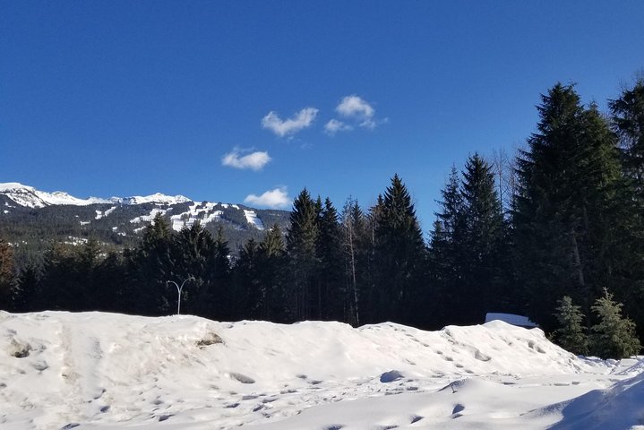Whistler Sightseeing Tour from Vancouver: See Horseshoe Bay and Shannon Falls
