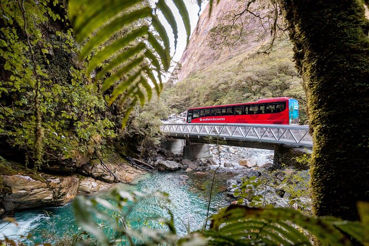 Milford Sound Premium Coach & Cruise from Queenstown with Lunch