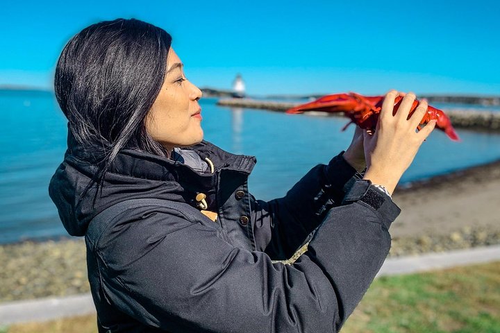 Portland Explorer | Maine History, Culture, & 3 Lighthouses Tour
