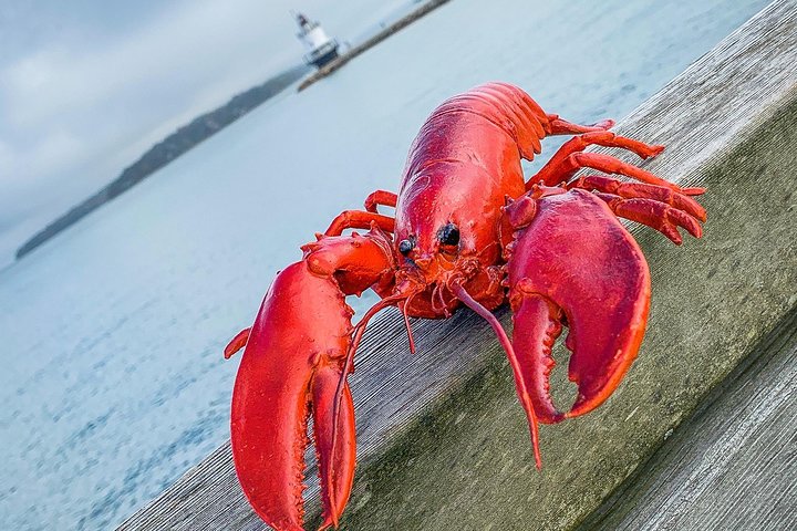 Portland Explorer | Maine History, Culture, & 3 Lighthouses Tour