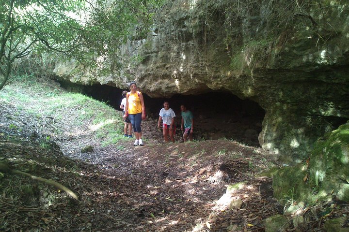 Hiking / Walking