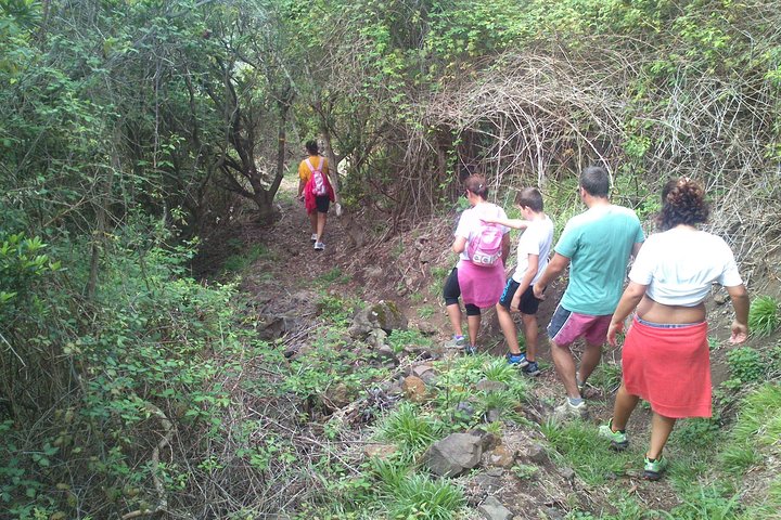 Hiking / Walking