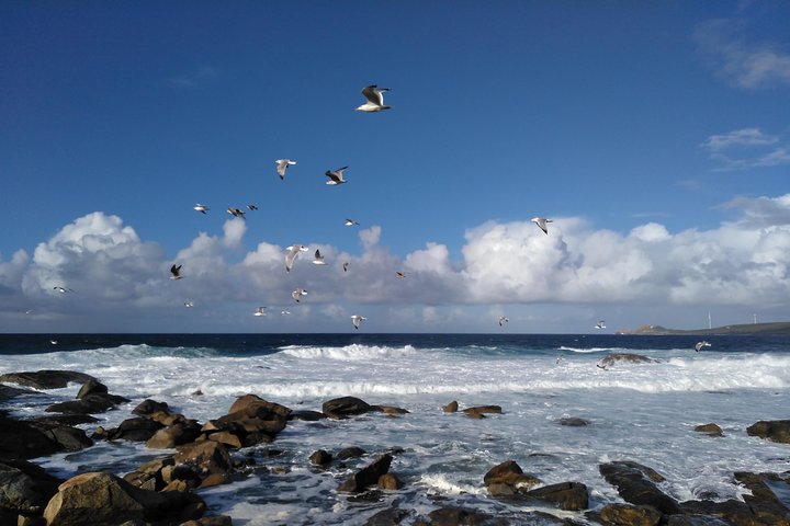 Santiago de Compostela: Finisterre, Muxía & Costa da Morte