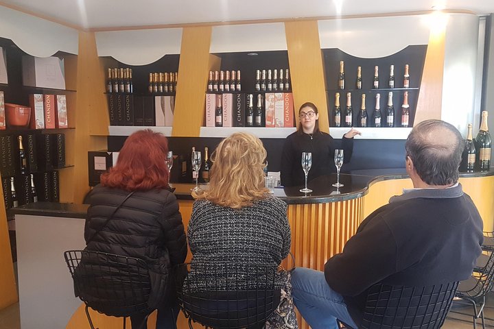 Vale dos Vinhedos: Private Group Tour from Porto Alegre