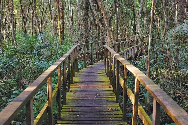Lekki Conservation Center Extraordinary Tour