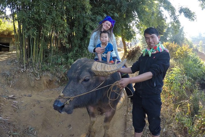 Half Day Private Trekking Mu Cang Chai_Morning or Afternoon