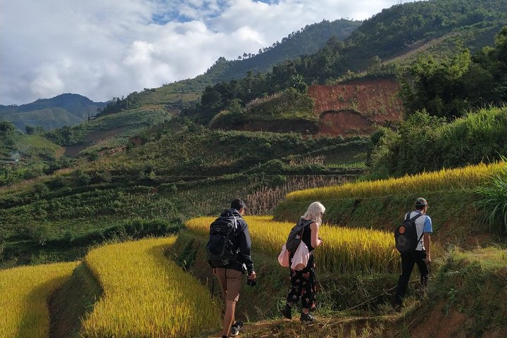 Half Day Private Trekking Mu Cang Chai_Morning or Afternoon