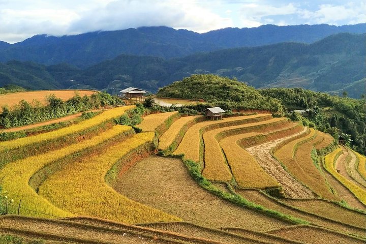 Half Day Private Trekking Mu Cang Chai_Morning or Afternoon