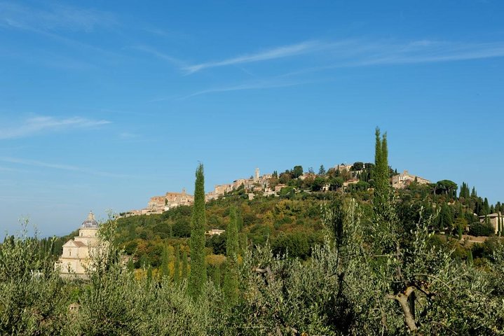 Montepulciano: Cinta Senese Farm Tour, Food Tasting & wine