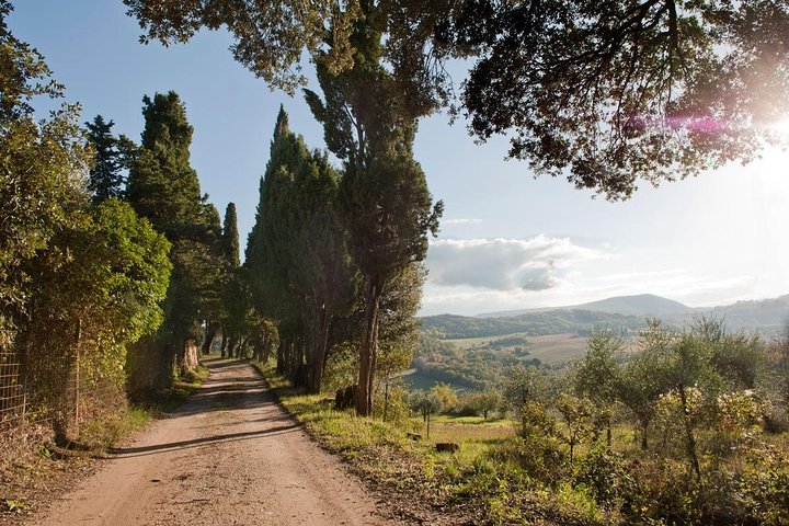 Montepulciano: Cinta Senese Farm Tour, Food Tasting & wine