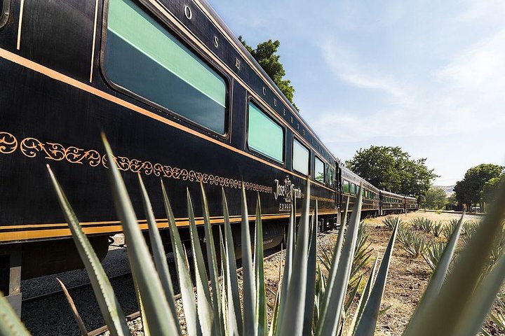 Tequila Day Trip from Guadalajara with Jose Cuervo Express Train