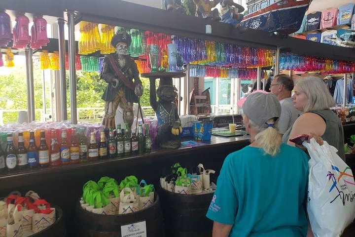 Paradise Taxi & Tours USVI - St. Thomas, Virgin Islands- Island Scenic Tour