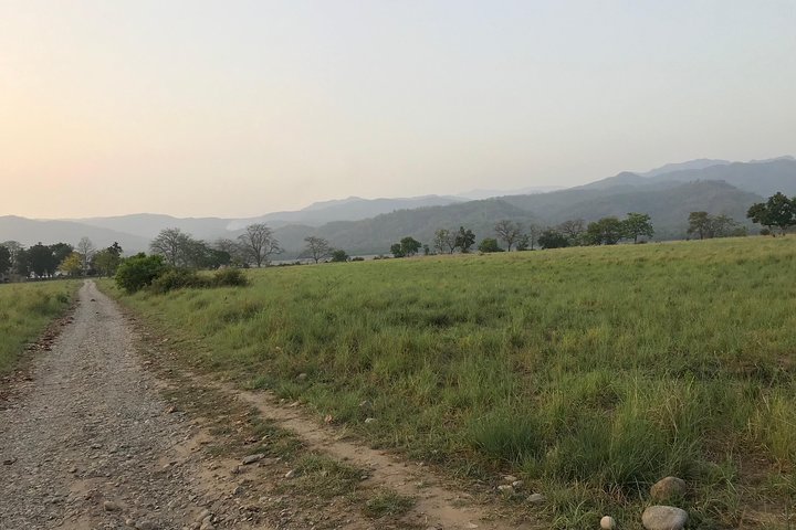 Best Wilderness Experience through Jim Corbett Experience