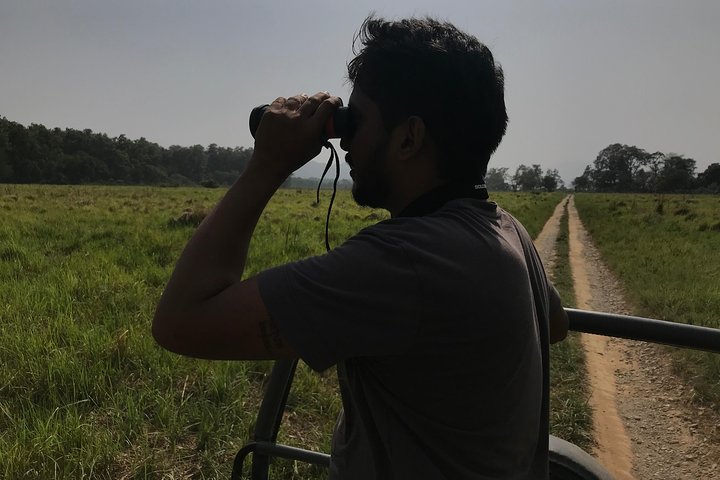 Best Wilderness Experience through Jim Corbett Experience