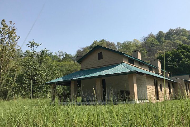 Best Wilderness Experience through Jim Corbett Experience