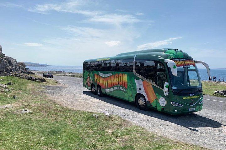 Cliffs of Moher Day Tour from Limerick: Wild Atlantic Way