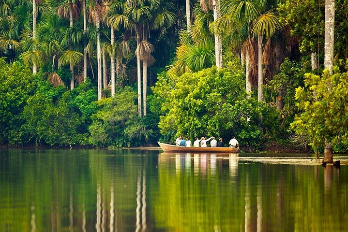 Tambopata (Puerto Maldonado) 5 Days