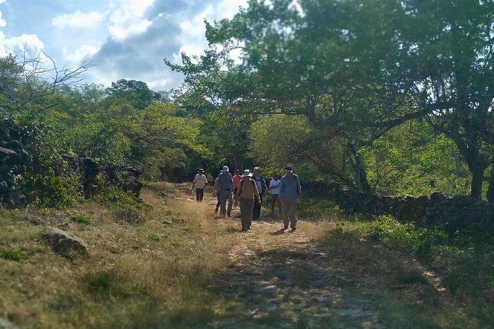 Eco Hike: The Royal Road: Jordan - Los Santos