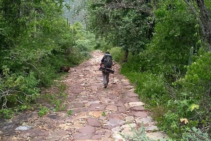 Eco Hike: The Royal Road: Jordan - Los Santos