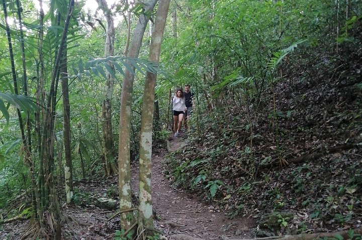 Tikal VIP Private Sunset Tour from Flores Guatemala