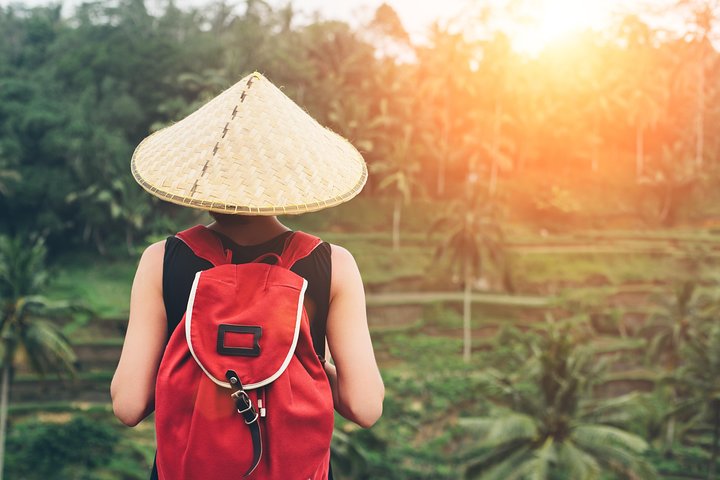 Best of Ubud Attractions: Private All-Inclusive Tour