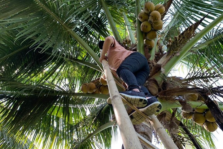 Mekong Delta and Cai Rang Floating Market 5-Hours Tour