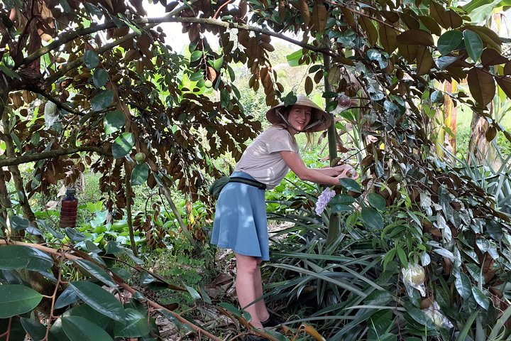 Mekong Delta and Cai Rang Floating Market 5-Hours Tour