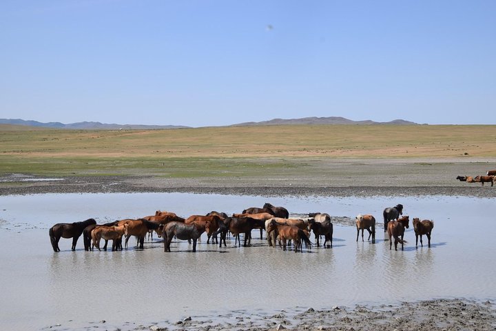 2 day Central Mongolia