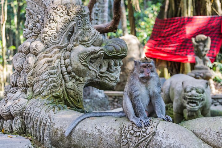 Best of Ubud Full-Day Tour with Jungle Swing