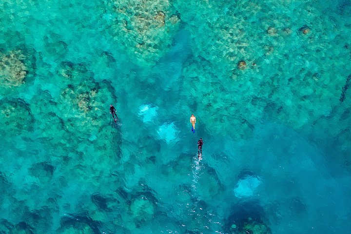 Rayglass Protector - Standard Private Charter - Whitsundays