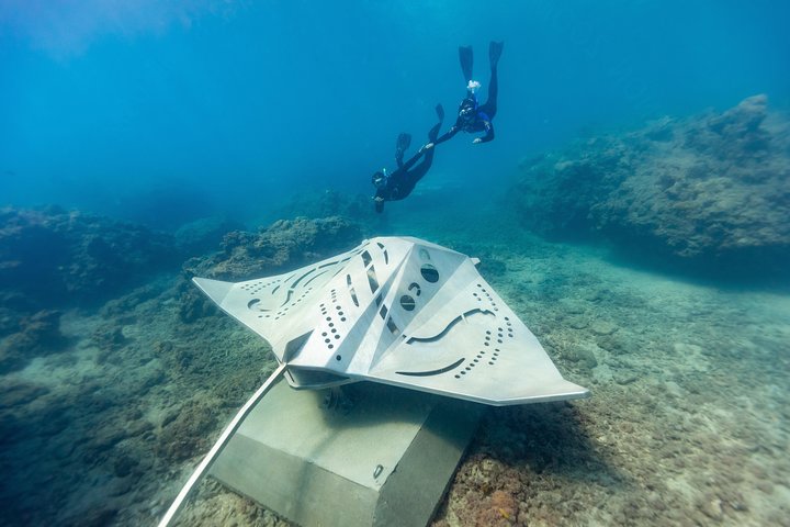 Rayglass Protector - Standard Private Charter - Whitsundays