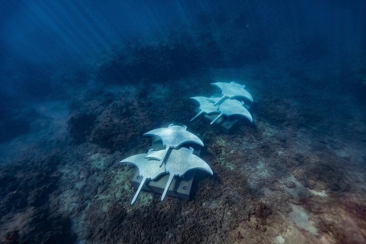 Rayglass Protector - Standard Private Charter - Whitsundays