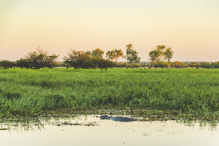 Yellow Water Cruise - Kakadu