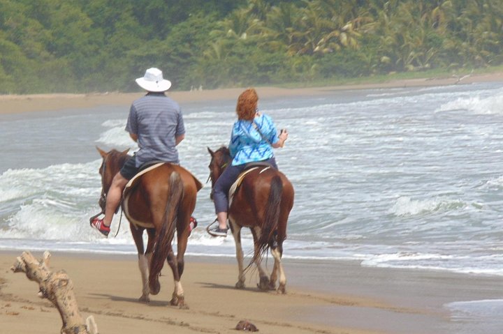Nature & Historical Horseback Riding Tours St. Lucia