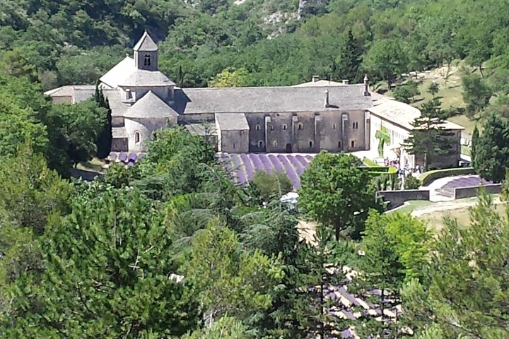 Provence Highlights Full-Day Tour from Avignon