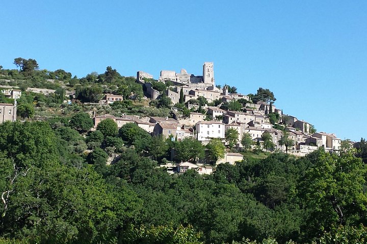 Provence Highlights Full-Day Tour from Avignon