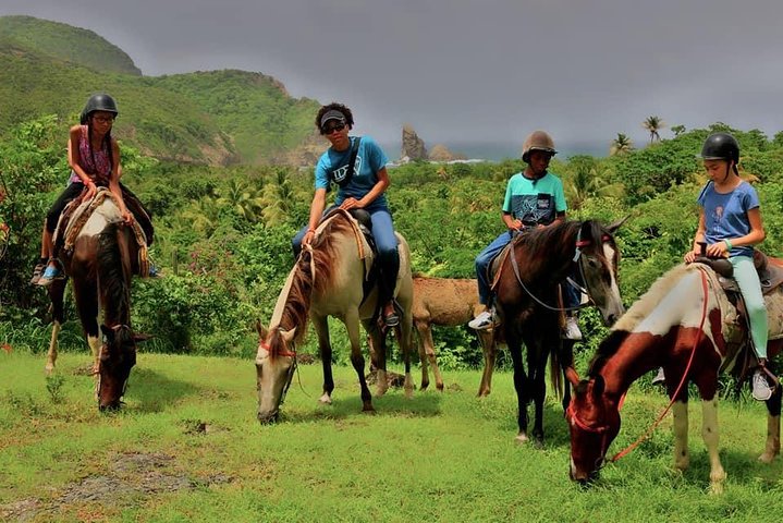 Nature & Historical Horseback Riding Tours St. Lucia