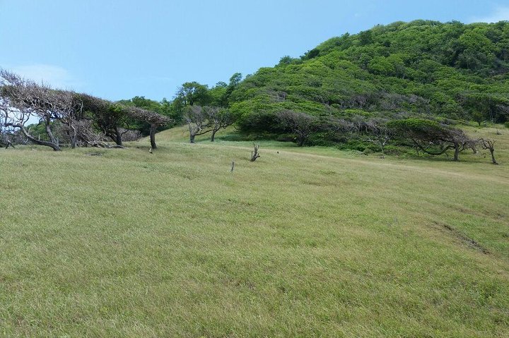 Nature & Historical Horseback Riding Tours St. Lucia