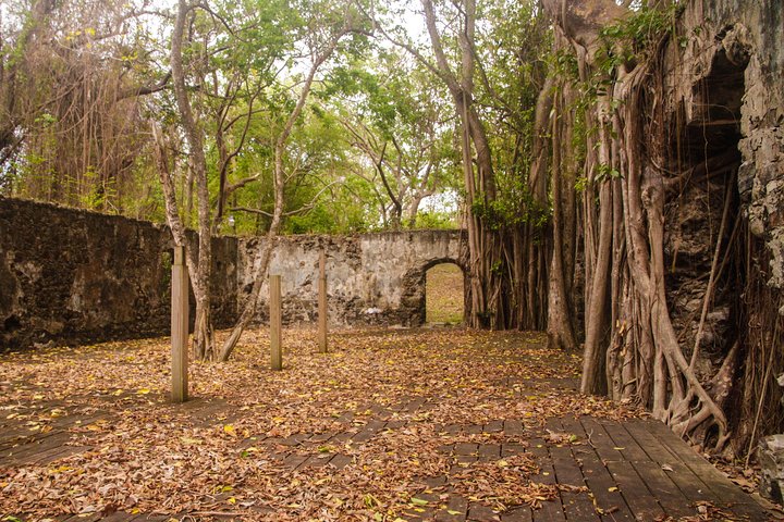Nature & Historical Horseback Riding Tours St. Lucia