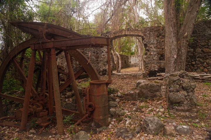 Nature & Historical Horseback Riding Tours St. Lucia
