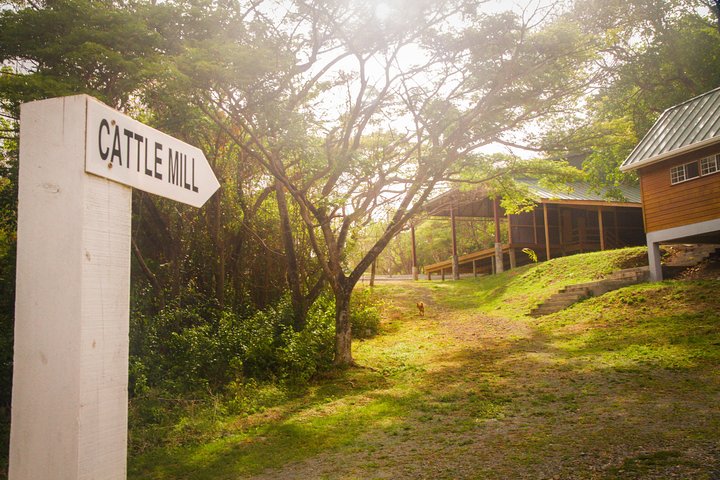 Nature & Historical Horseback Riding Tours St. Lucia