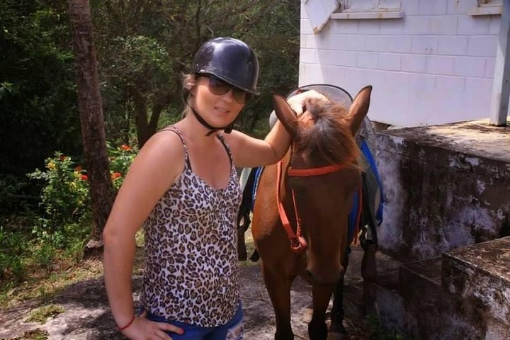 Nature & Historical Horseback Riding Tours St. Lucia