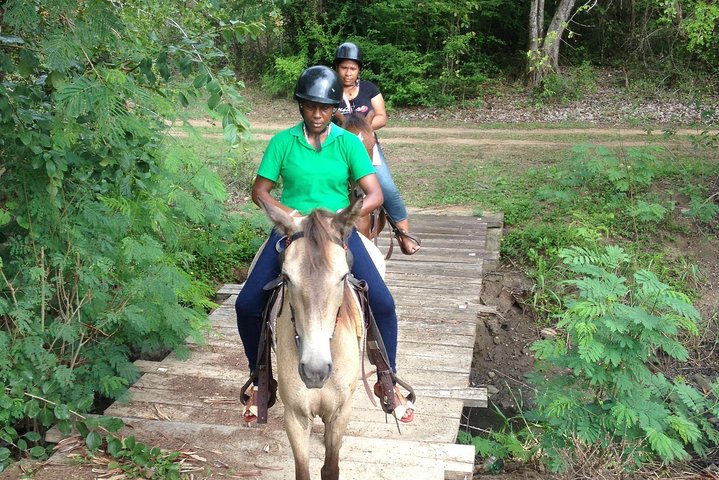 Nature & Historical Horseback Riding Tours St. Lucia