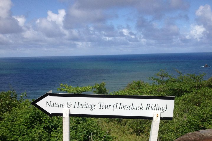 Nature & Historical Horseback Riding Tours St. Lucia